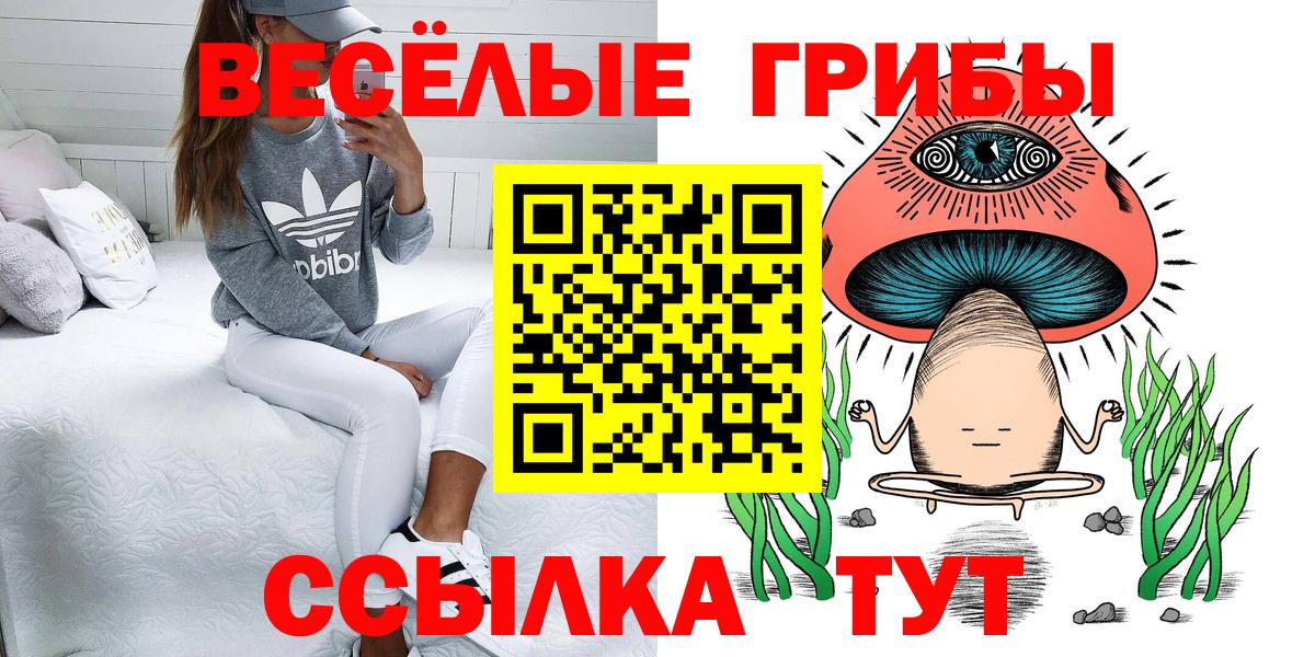 Псилоцибиновые грибы Cubensis Стрежевой